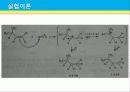 카니자로 자동 산화 – 환원 반응 13페이지