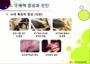 [구제역]구제역 이해의 모든 것 - 구제역의 개념 및 원인체, 전염경로, 증상, 진단, 발생 사례, 예방 및 대처법 등 설명 10페이지