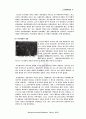 자치경찰제도 7페이지