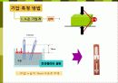 태풍과 기압 ppt 4페이지