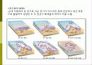 태풍과 기압 ppt 22페이지