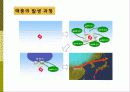 태풍과 기압 ppt 29페이지