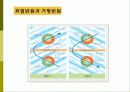 태풍과 기압 ppt 34페이지