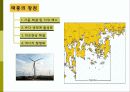 태풍과 기압 ppt 35페이지