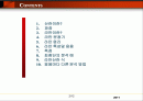 라만(Raman) 2페이지