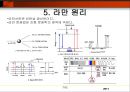 라만(Raman) 7페이지