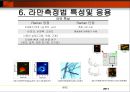 라만(Raman) 8페이지