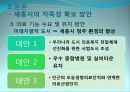 [세종시의 방향제언] 국토균형개발 달성을 위한 세종시의 나아갈 방향 제언 24페이지