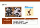 가죽(leather googs)의 종류와 특성에 대한 이해 8페이지