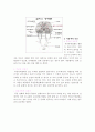 [간호학]뇌경색의 문헌고찰 2페이지