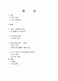 체시스 환경 분석 및 마케팅 전략 분석 2페이지