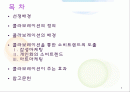 콜라보레이션 마케팅과 소비트랜드(트렌드) 2페이지