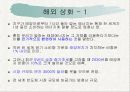 녹색성장과신재생에너지 25페이지