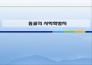 몽골의사막화방지현황 1페이지