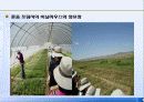 몽골의사막화방지현황 54페이지
