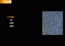 STONE STRUCTION 석재공사 16페이지