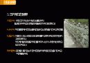STONE STRUCTION 석재공사 31페이지