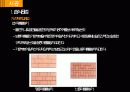 STONE STRUCTION 석재공사 40페이지