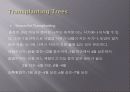 수목의 이식 5페이지
