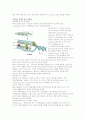 항생물질학 report - 항생물질의 작용기전 8페이지