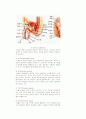 성의과학 강의노트 14페이지