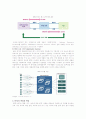 [RFID] RFID의 기본특성과 시장전망 - RFID, 정보시스템의 구성요소, 분류와 특성, 표준화, 시스템 도입시 고려사항, 적용분야, 3페이지