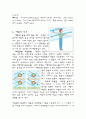 태풍에 관한 레포트 - 조사자료 9페이지