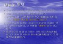 태풍에 관한 레포트 - 조사자료 ppt 9페이지