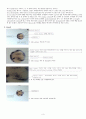 High Resolution whole-mount in situ hybridization 3페이지