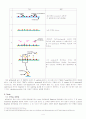 Western blot 4페이지