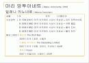 서양복식사 - 시대별로 영화에 나타난 의상 및 디자이너 29페이지