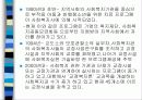 교정복지의 정의 발달사, 역사, 기능, 필요성, 주요제도, 프로그램 및 전망 9페이지