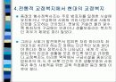 교정복지의 정의 발달사, 역사, 기능, 필요성, 주요제도, 프로그램 및 전망 10페이지