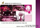 에스티로더&삼성의csr 14페이지