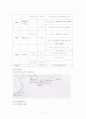 [사업계획서]여행사 사업계획서 18페이지