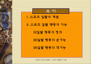 스포츠 일탈의 기능 2페이지