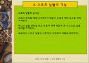 스포츠 일탈의 기능 4페이지