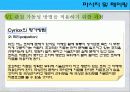 [마사지및테이핑] 관절 유동의 원리 50페이지