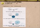 성격발달에 관하여 15페이지