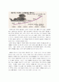 현대 저출산 문제에 대한 보고서 15페이지
