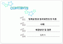 팀운영방식과 권한부여 2페이지