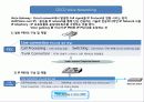 voice networking protocol 정리 3페이지