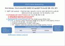 voice networking protocol 정리 7페이지