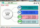 산악자전거 대회 사업계획서 15페이지