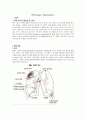 [간호학]폐결핵-Pulmonary Tuberculosis 3페이지
