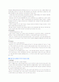 중국프랜차이즈 시장 28페이지