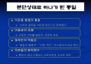 독일의 통일과정 33페이지