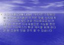 스타벅스에 관하여 5페이지