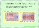 항체와 B 림프구 : 단클론 항체의 제조 43페이지