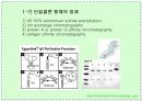 항체와 B 림프구 : 단클론 항체의 제조 45페이지